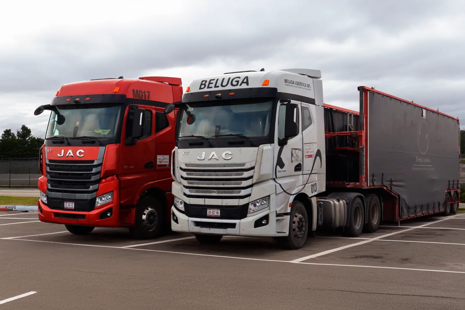 Beluga cross-border fleet